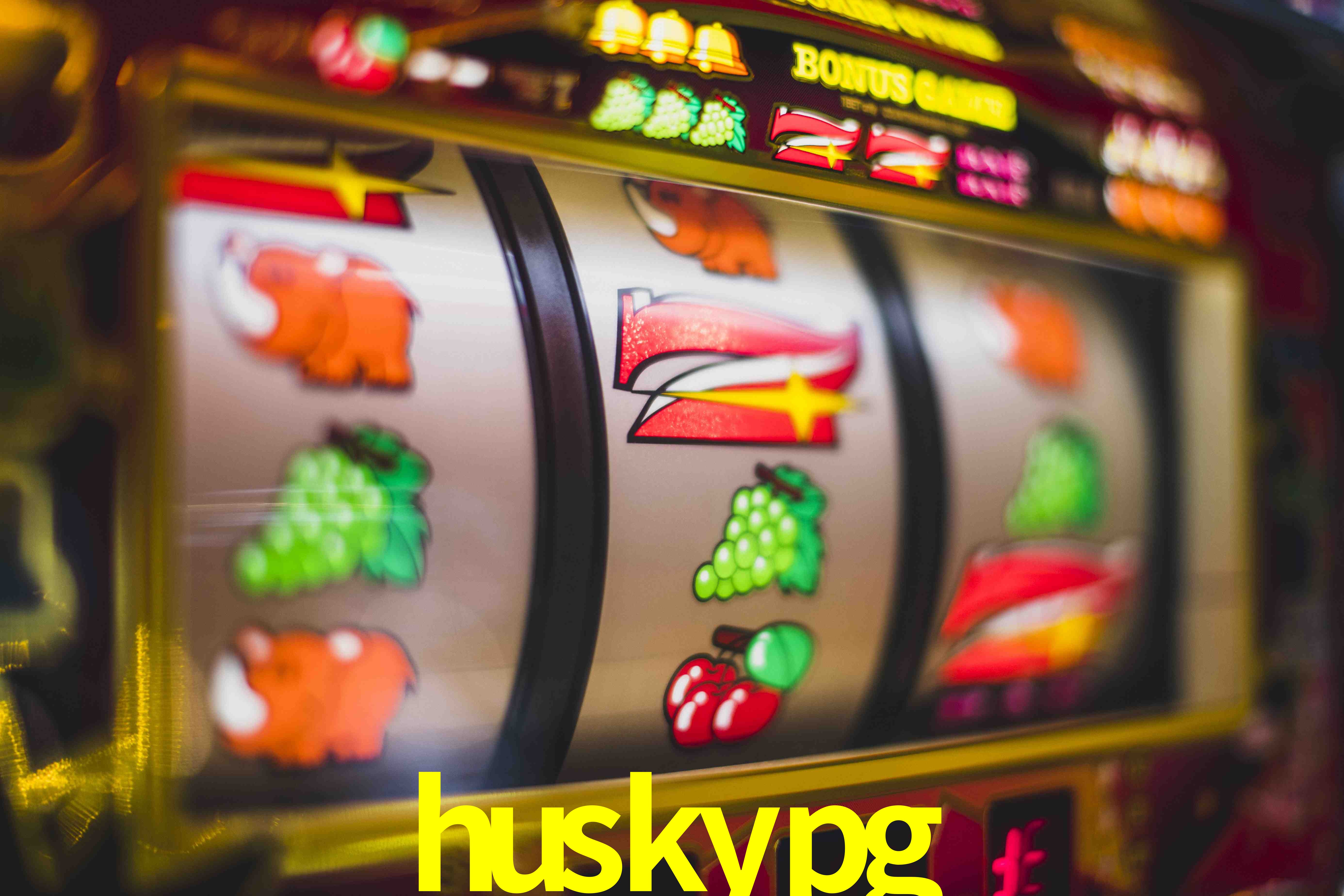 Experiência VIP huskypg